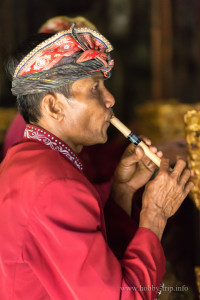 Портрет на индонезийски музикант - остров Бали