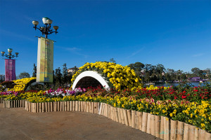 Flower festival in Da Lat