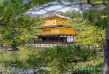 Golden pavilion - Kyoto