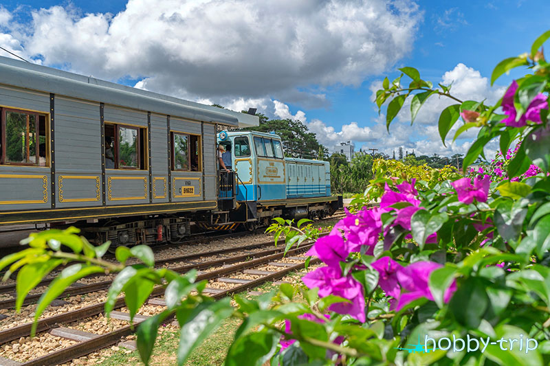 Vietnam train